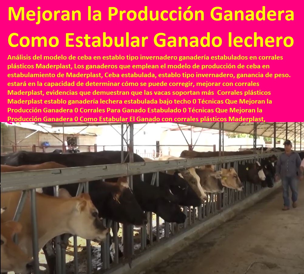 Corrales plásticos Maderplast establo ganadería lechera estabulada bajo techo 0 Técnicas Que Mejoran la Producción Ganadera 0 Corrales Para Ganado Estabulado 0 Técnicas Que Mejoran la Producción Ganadera 0 Ganaderías Tecnificadas, Explotación Ganadera Automatizada, Sistemas de Pastoreo, Estabulación de Ganado, Pastoreo Intensivo, Establos, Corrales, Saladeros, Comederos, Cerramientos, Postes, Como Estabular El Ganado Corrales plásticos Maderplast establo ganadería lechera estabulada bajo techo 0 Técnicas Que Mejoran la Producción Ganadera 0 Corrales Para Ganado Estabulado 0 Técnicas Que Mejoran la Producción Ganadera 0 Como Estabular El Ganado